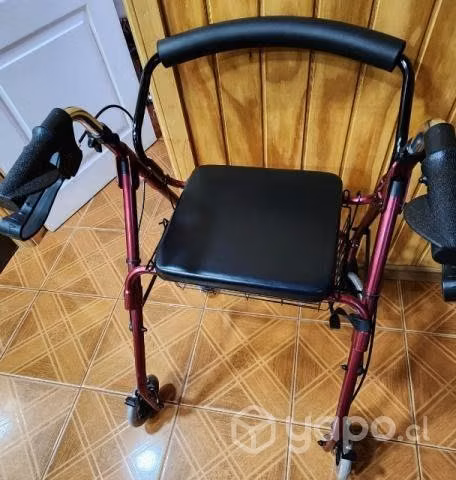 Carrito de apoyo