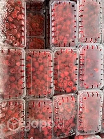 Frambuesas congeladas