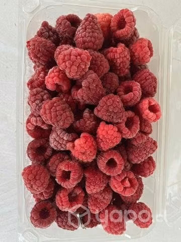 Frambuesas congeladas - Imagen 2