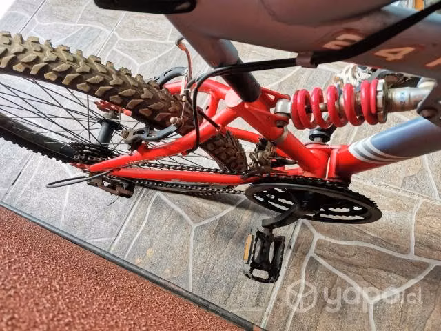 Bicicleta fratta 2.4