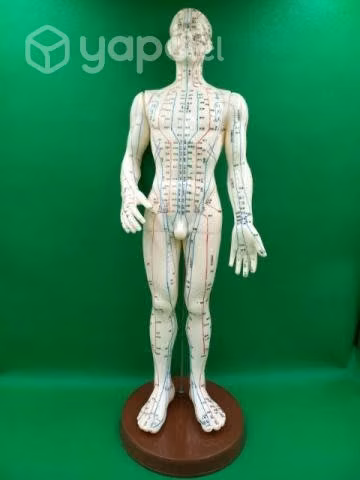 Insumos de acupuntura - Imagen 2