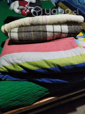 Tengo ropa de cama cubrecamas plumones