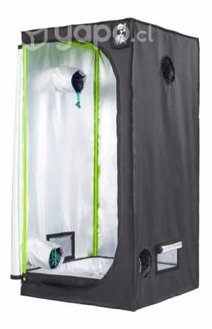 Indoor de 80x80x180 piranha con algunas cosas