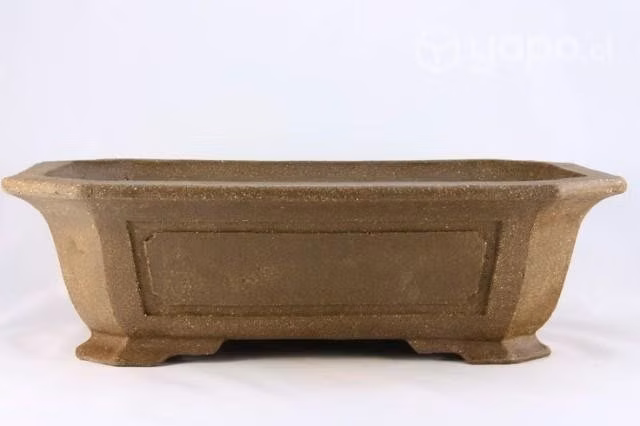 Maceta en concreto bonsái
