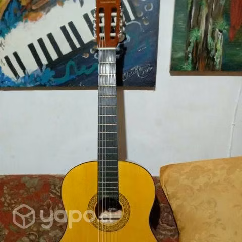 Guitarras acusticas