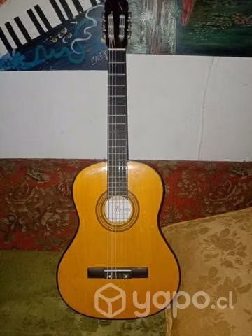 Guitarras acusticas