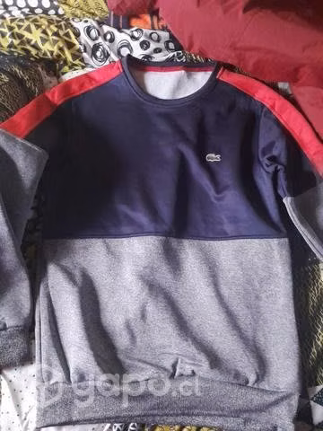 Buzos lacostes - Imagen 3