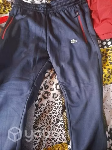 Buzos lacostes