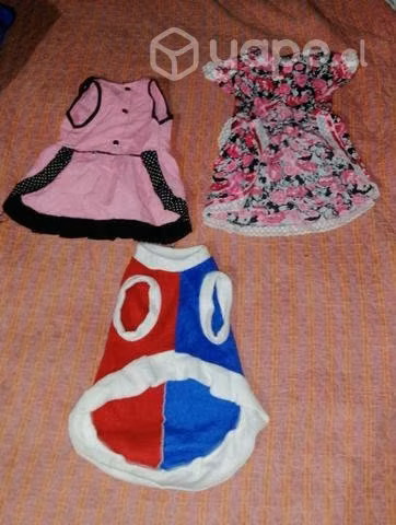 Ropa para perrita - Imagen 3