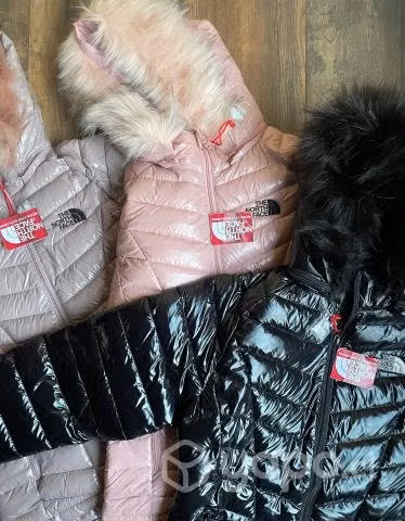 Chaqueta north face ( Y más productos)