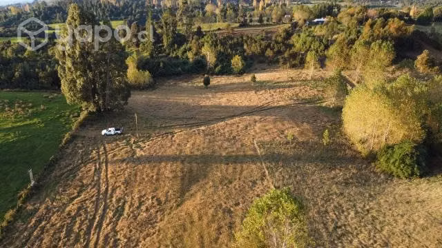 Parcela 1 hectárea Puyehue - Imagen 6