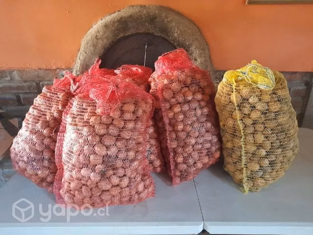 Nueces de temporada 2023