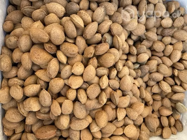 Almendras con cáscaras - Imagen 2