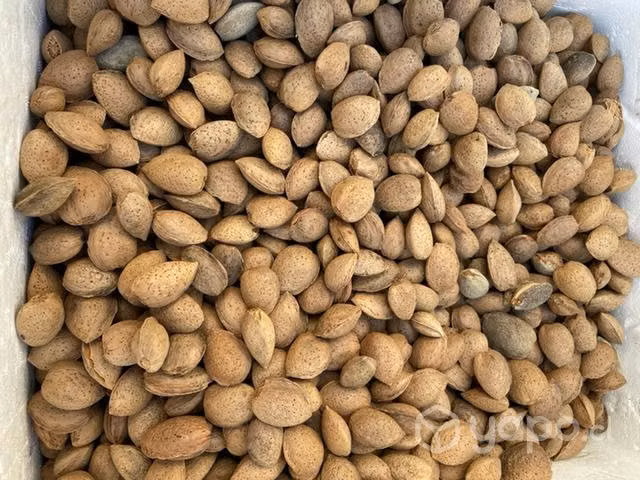 Almendras con cáscaras