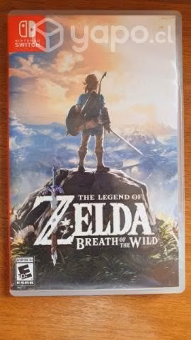 Nintendo