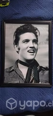 Cuadro decorativo de elvis presley