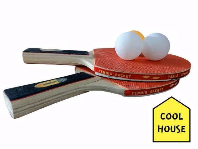 Paletas de ping pong profesional