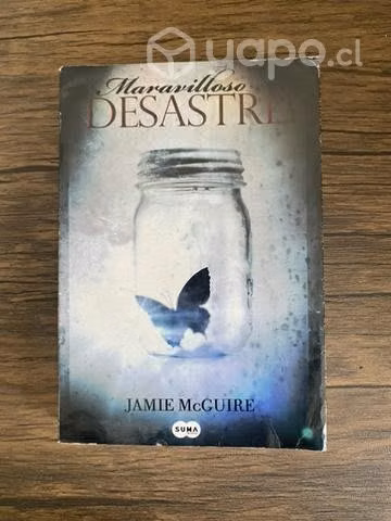 Libro Maravilloso desastre