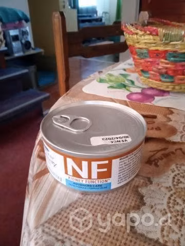 Alimentos especiales para gatitos