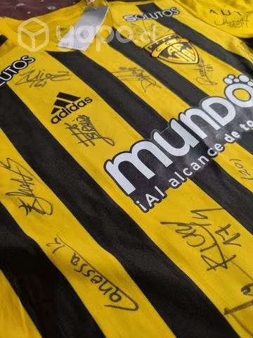 Camiseta Vial firmada