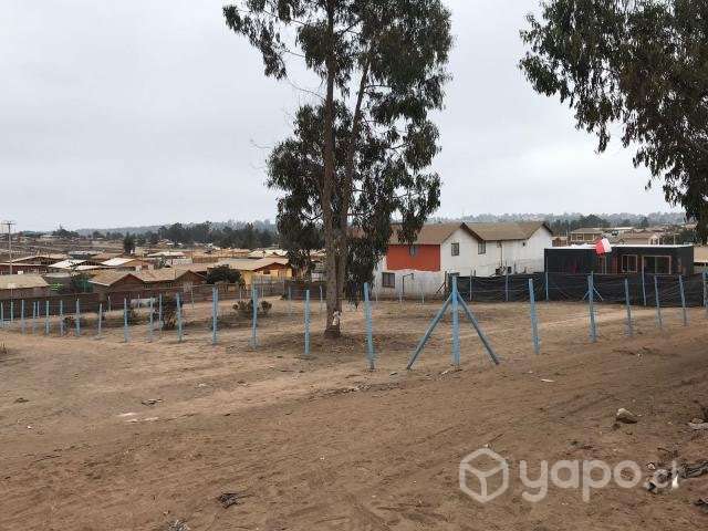 Terreno de 500m2 a 15 min. de Maitencillo - Imagen 4