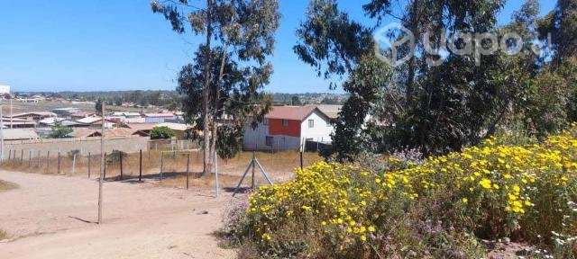 Terreno de 500m2 a 15 min. de Maitencillo - Imagen 5