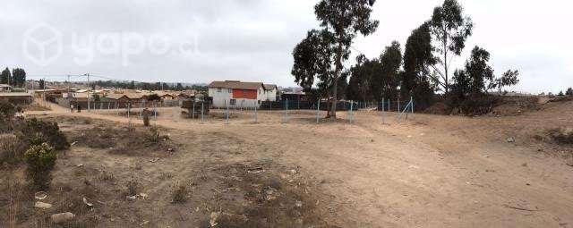 Terreno de 500m2 a 15 min. de Maitencillo - Imagen 3