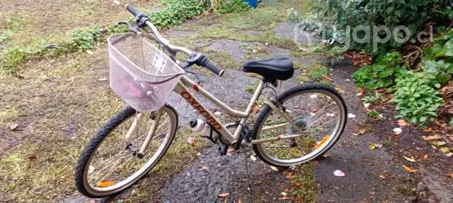 Bicicleta oxford paseo aro 26