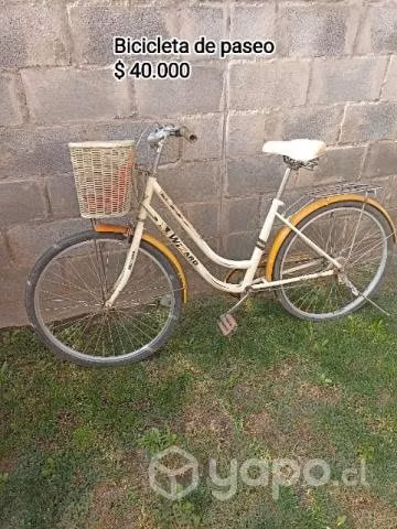 Bicicleta de paseo