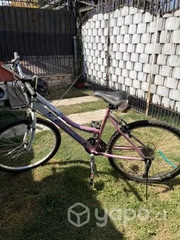 Pack de bicicletas mujer y niña - Imagen 3