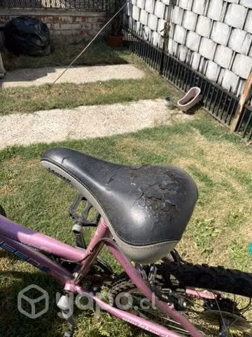 Pack de bicicletas mujer y niña - Imagen 4
