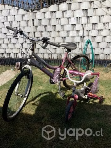 Pack de bicicletas mujer y niña - Imagen 2