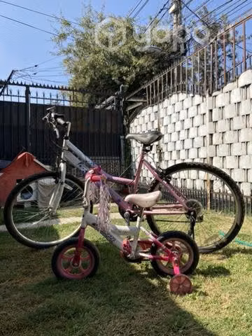 Pack de bicicletas mujer y niña