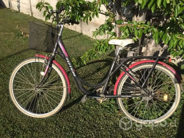 Bicicleta mujer