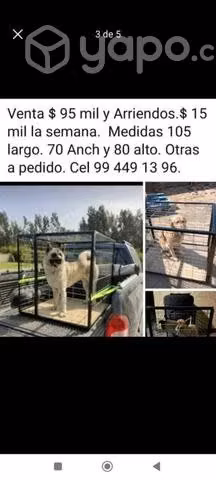 jaulas para perros. - Imagen 3