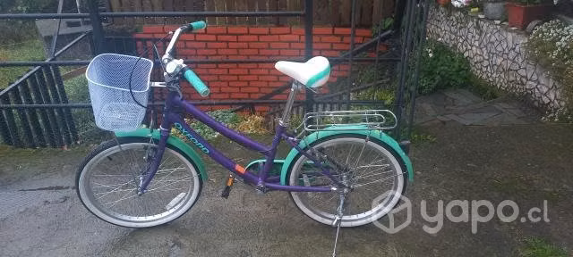 Bicicleta oxford aro 20