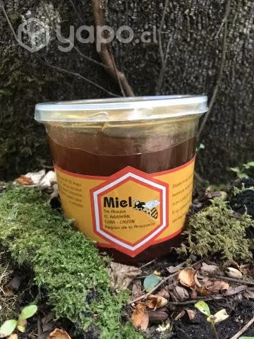 Miel Multiflora - Imagen 3