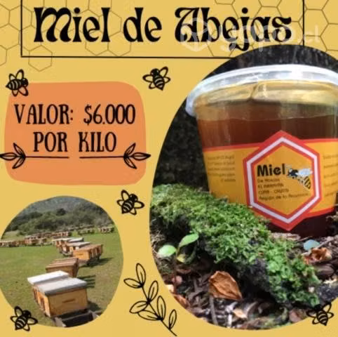 Miel Multiflora