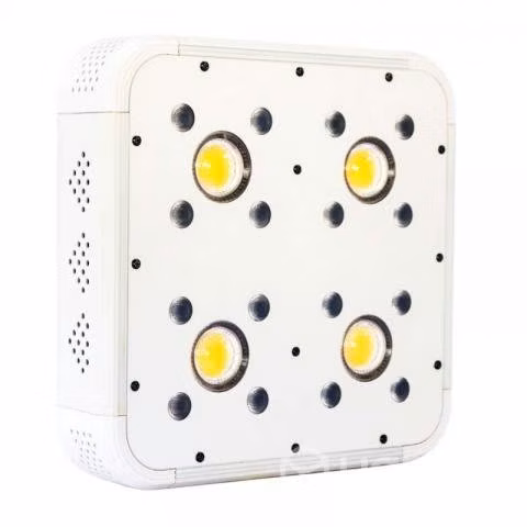Led Apollo Evolution 4 228W - Imagen 4