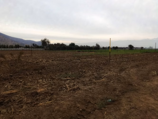 Se venden Derechos de Sitio - Imagen 4