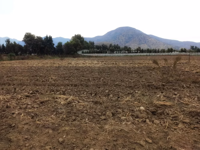 Se venden Derechos de Sitio - Imagen 2