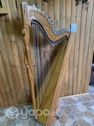 Arpa paraguaya