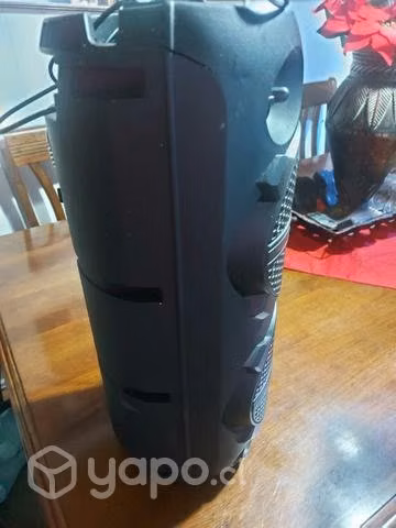Parlante más microfono