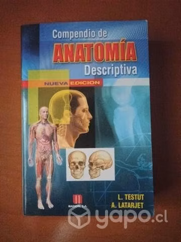 Compendio de anatomía descriptiva - A. Latarjet