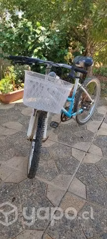 Bicicleta oxford