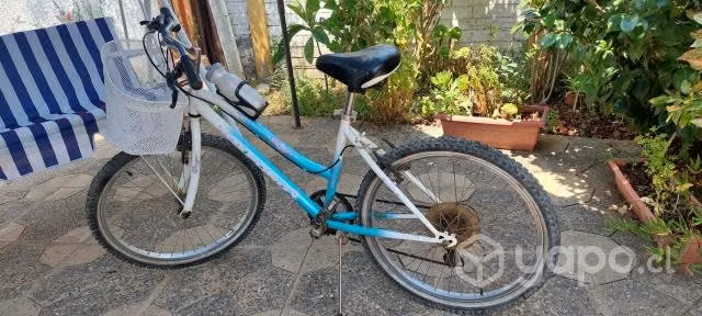 Bicicleta oxford - Imagen 2