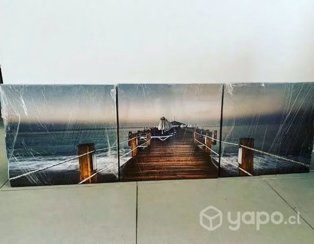 Cuadros canvas