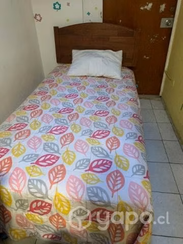 cama Cic por no uso