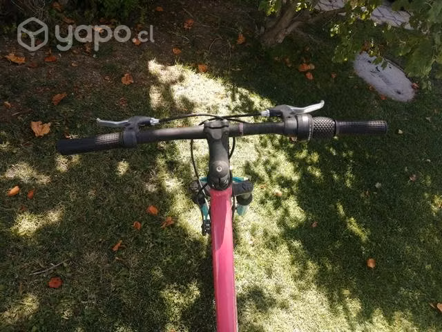 Bicicleta niñ@