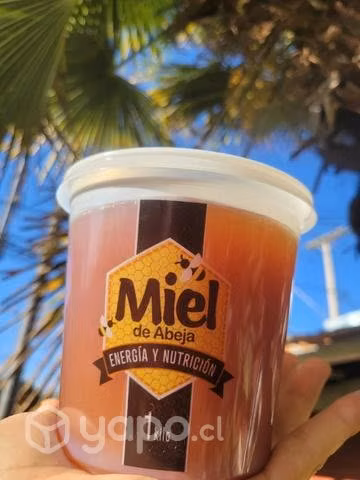 Miel 100% Natural